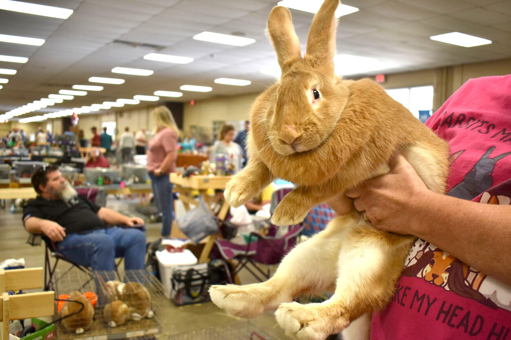 East Texas Rabbit Breeders Association’s Rabbit Show